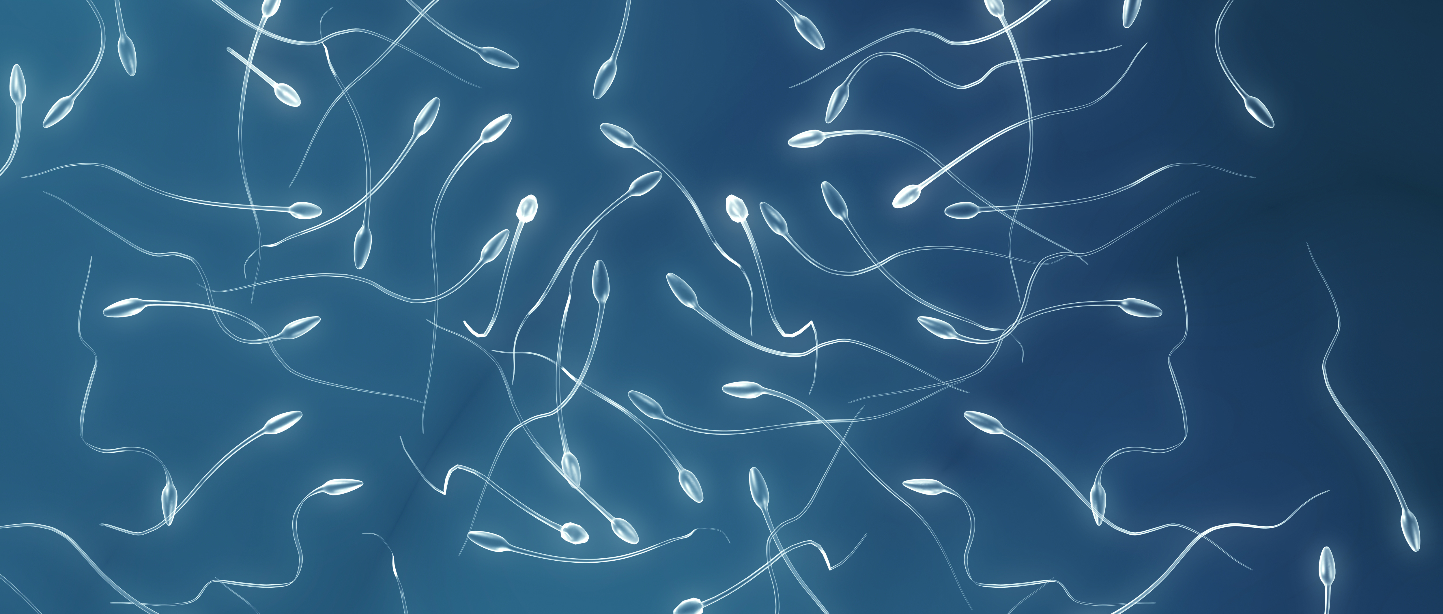 aliment pour augmenter spermatozoide aliment pour augmenter spermatozoide