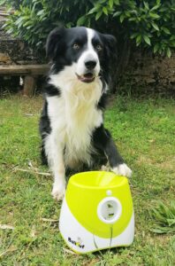 ballouf - dog ball launcher
