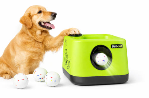 Ballouf